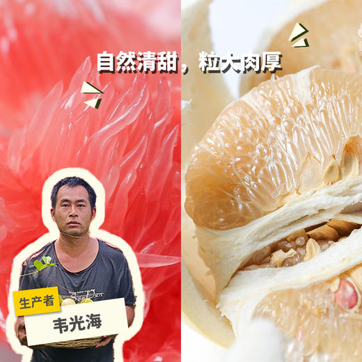 生态琯溪蜜柚（广西） | 合作生产 * Eco-red grapefruit | Partner Production 商品图0