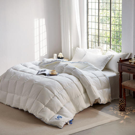 【换季出清】自然醒舒肤盾面包格10A中科抗菌被子被芯LFS 商品图1