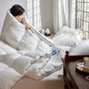 【换季出清】自然醒舒肤盾面包格10A中科抗菌被子被芯LFS 商品缩略图9