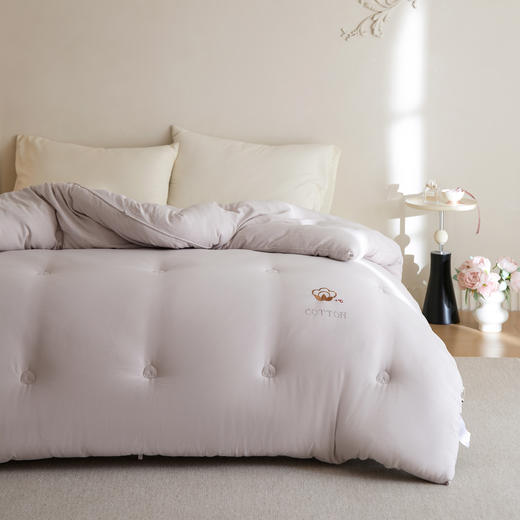 【换季出清】自然醒超柔双层纱新疆棉花被被子被芯LFS 商品图2