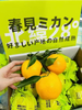 大雅柑一箱 商品缩略图3