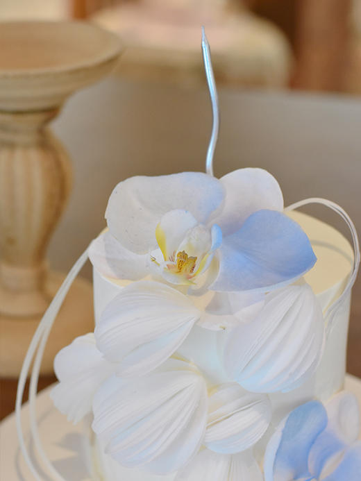 蝴蝶兰威化纸艺术 · 戚风蛋糕 商品图1