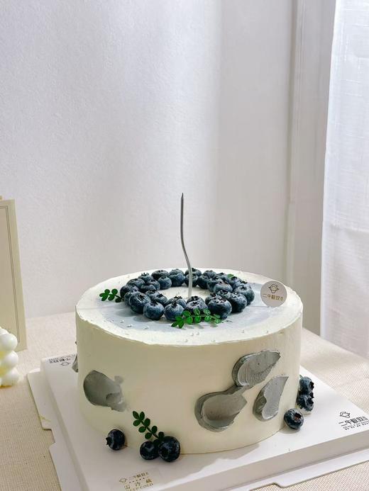 简约蓝莓 商品图2