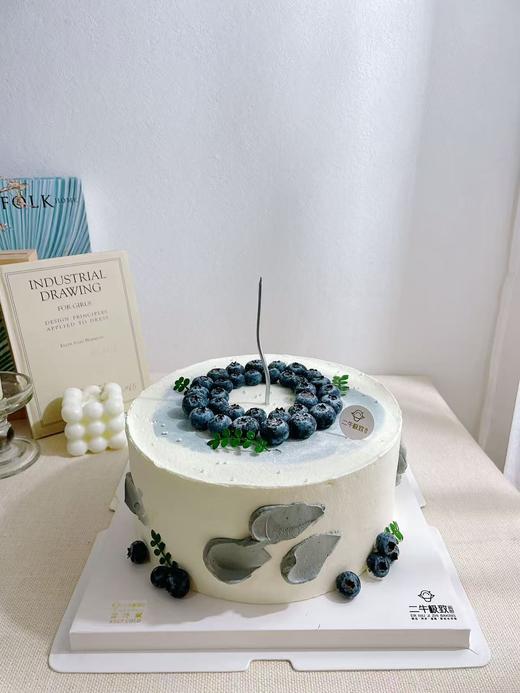 简约蓝莓 商品图0