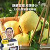 有机酥梨 | 合作生产 *Organic crisp pear | Partner Production 商品缩略图0