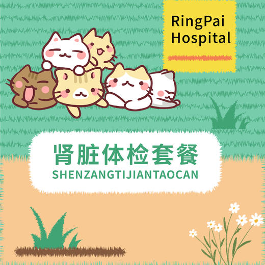 肾脏健康体检套餐 商品图0