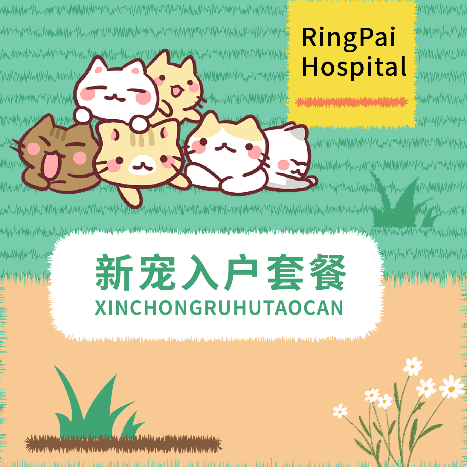 新宠入户体检套餐