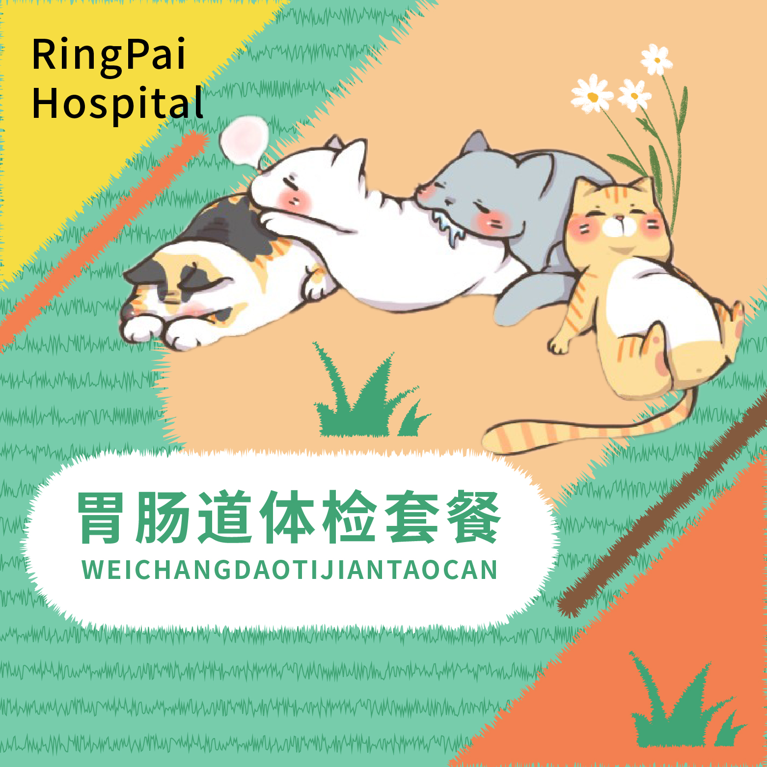胃肠道健康体检套餐