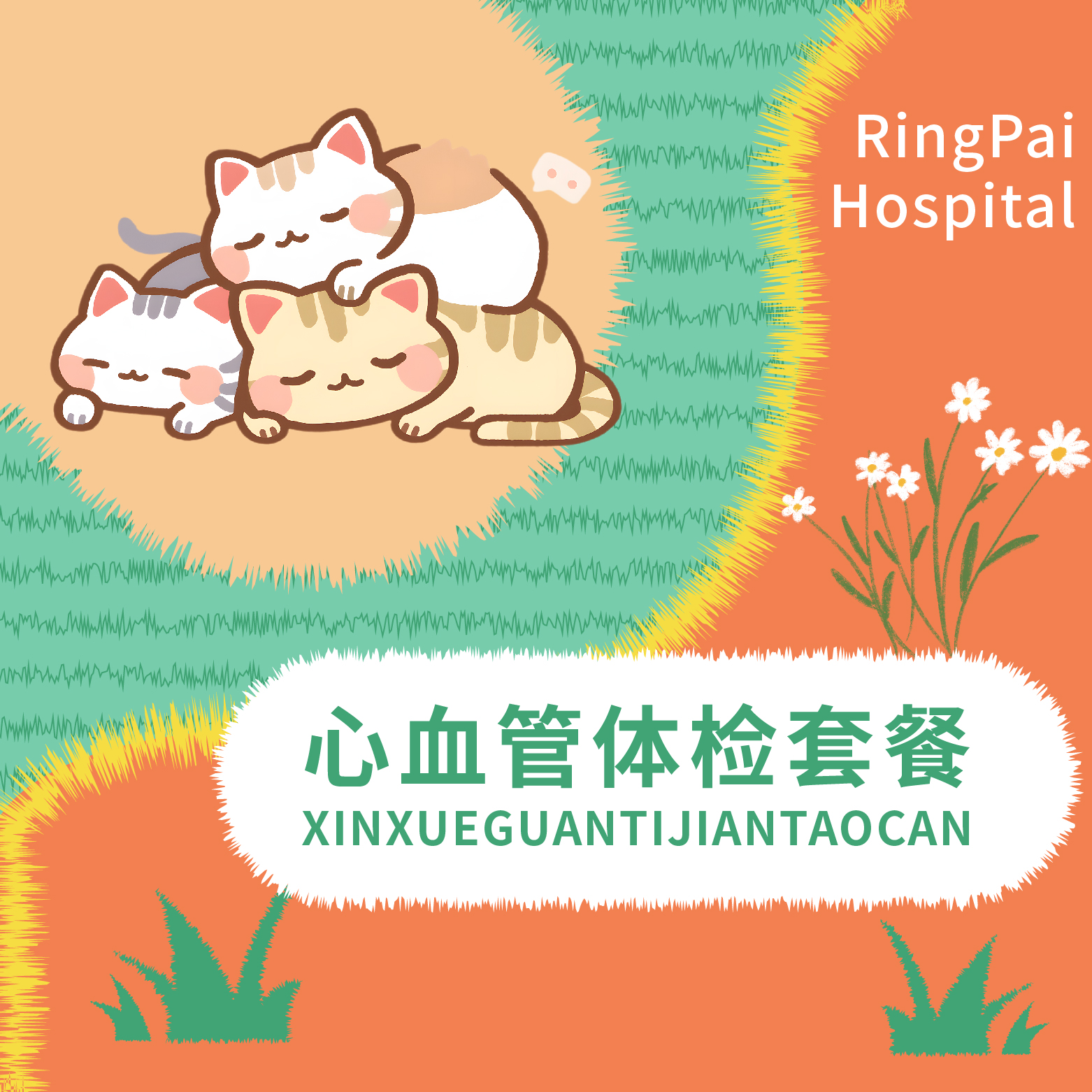 心血管健康体检套餐