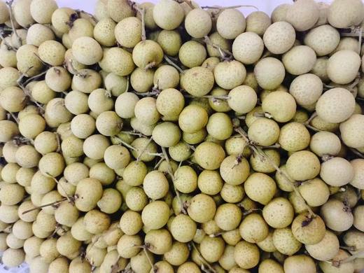 桂圆2斤 商品图1