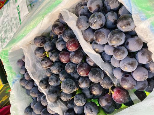 蓝莓葡萄一箱 商品图1