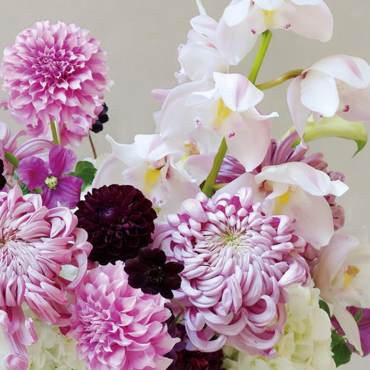 微漾芙光 Shimmering Shallows 商品图2