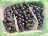 蓝莓葡萄一箱 商品缩略图0