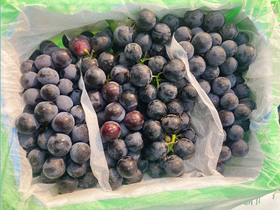 蓝莓葡萄一箱