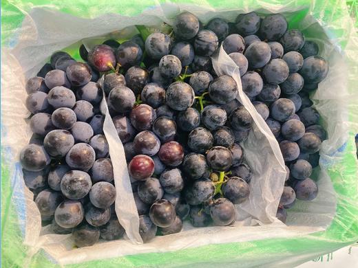 蓝莓葡萄一箱 商品图0