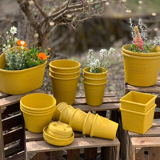 日本进口Hachiman Gardens花盆+托盘 120×120mm 黄色 商品图4