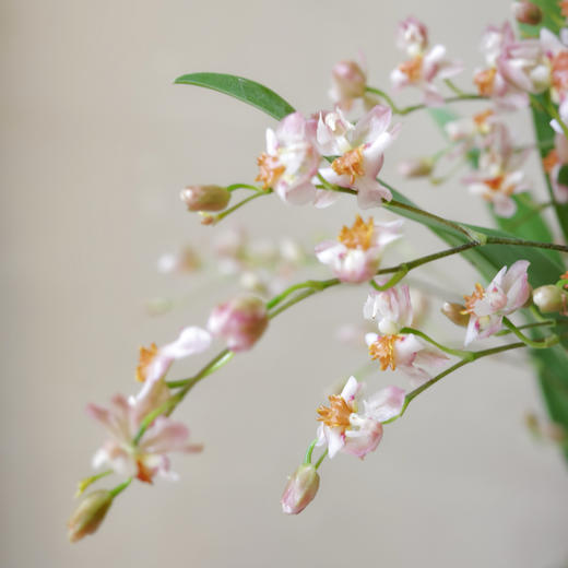 抵达繁星 Arriving at the stars 商品图2