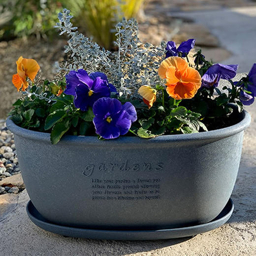 日本进口Hachiman Gardens花盆+托盘 椭圆形 398x240x182mm 黄色 商品图8