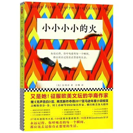 【独家旧书3折】小小小小的火  二手书籍（新疆 西藏 甘肃 青海 海南不包邮）bj 商品图0