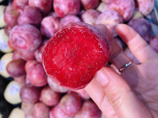 西瓜李子一斤 商品图1