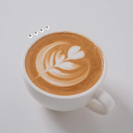 香草拿铁 商品图0