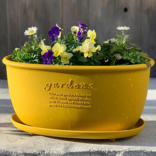日本进口Hachiman Gardens花盆+托盘 椭圆形 398x240x182mm 黄色 商品图7