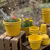 日本进口Hachiman Gardens花盆+托盘 120×120mm 黄色 商品缩略图1