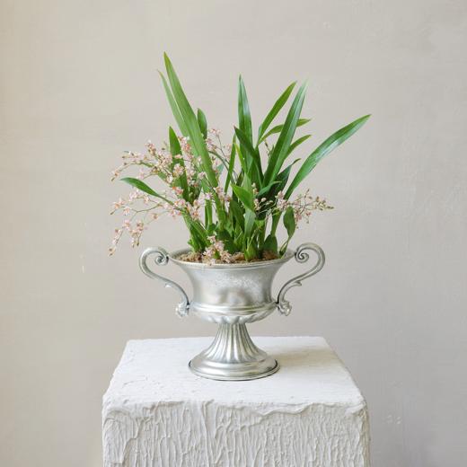 抵达繁星 Arriving at the stars 商品图0