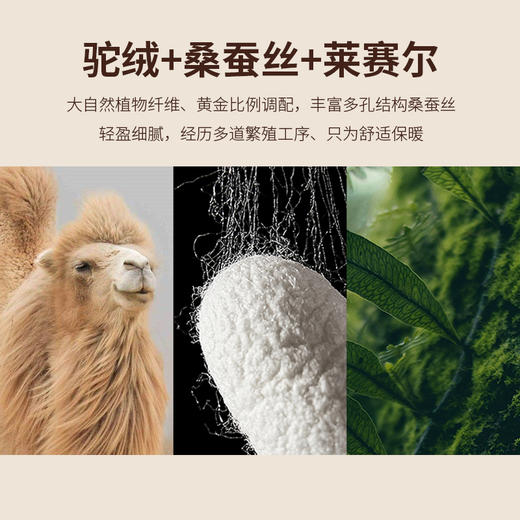 皇家丽美 男女保暖套装BNTT005&BMTT006 商品图4