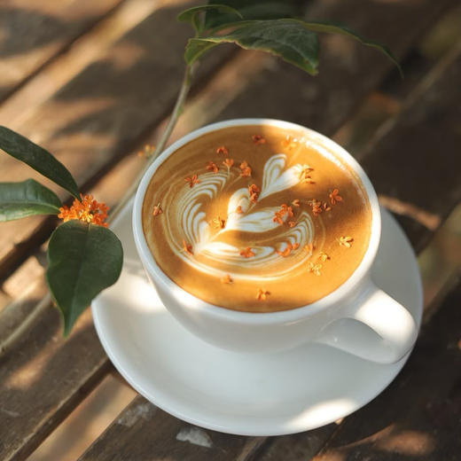 桂花拿铁 商品图0