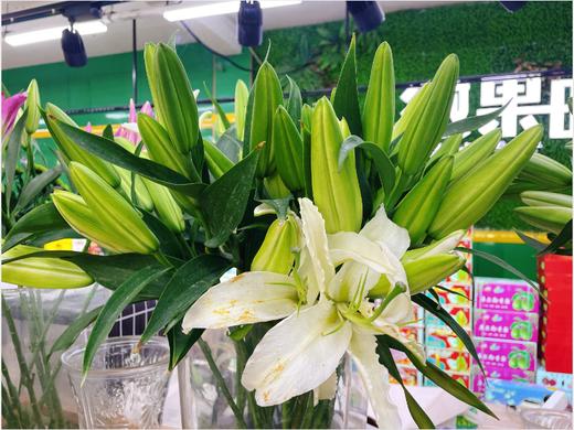 百合3支 商品图2