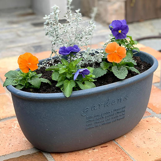 日本进口Hachiman Gardens花盆+托盘 椭圆形 398x240x182mm 黄色 商品图3