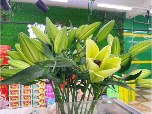 百合3支 商品图4