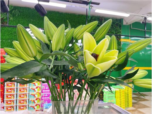 百合3支 商品图1