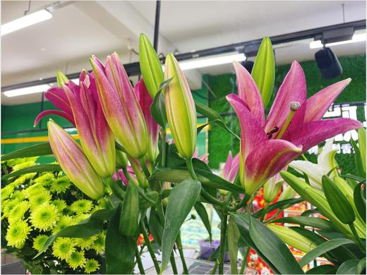 百合3支 商品图0