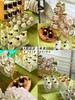 「小清新白绿色系」婚礼宴会茶歇甜品台案例（有清单） 商品缩略图0