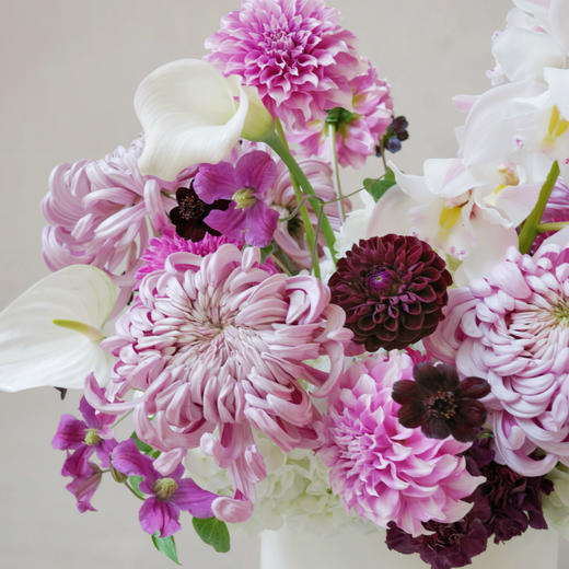 微漾芙光 Shimmering Shallows 商品图1