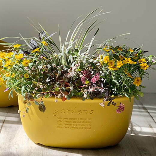 日本进口Hachiman Gardens花盆+托盘 椭圆形 398x240x182mm 黄色 商品图1