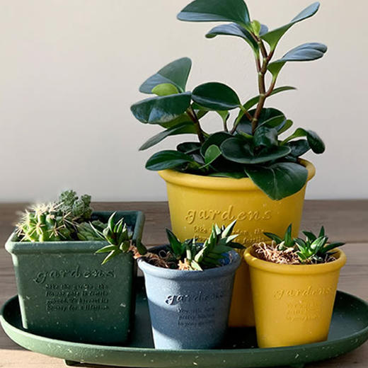 日本进口Hachiman Gardens花盆+托盘 椭圆形 398x240x182mm 黄色 商品图5