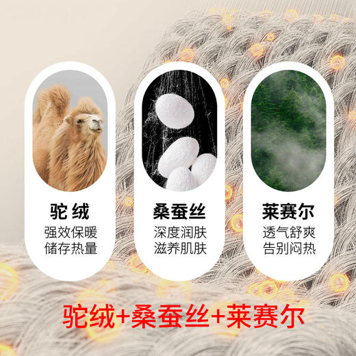 皇家丽美男士保暖裤BNT003 商品图4