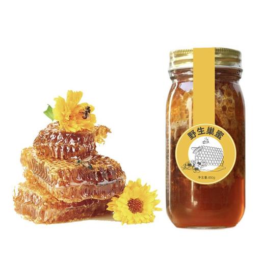 云南野生巢蜜850g 商品图0