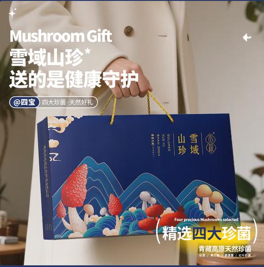 贡极 雪域四宝山珍干货礼盒120g 南北干货菌菇礼盒 商品图0