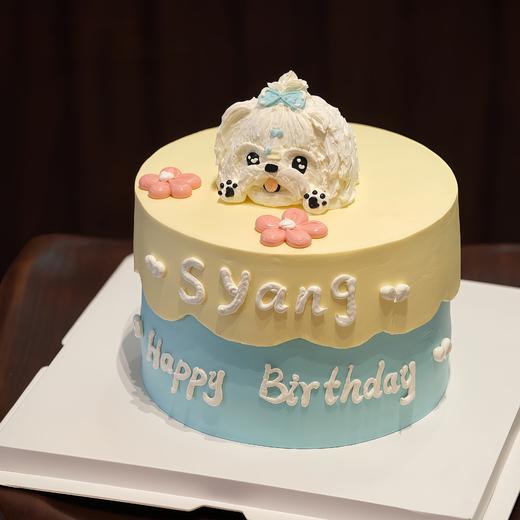 【小奶狗】创意热卖-创意蛋糕 商品图0