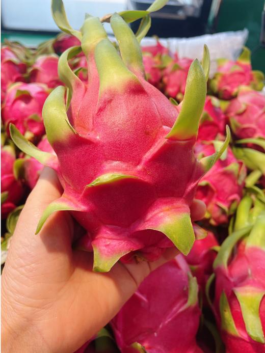 白心火龙果2个 商品图1