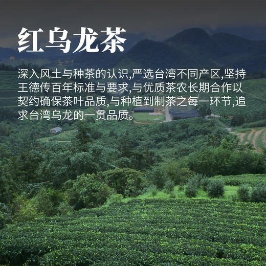 红乌龙茶150g 商品图1