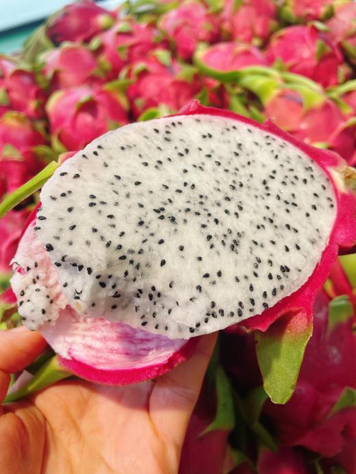 白心火龙果2个 商品图3