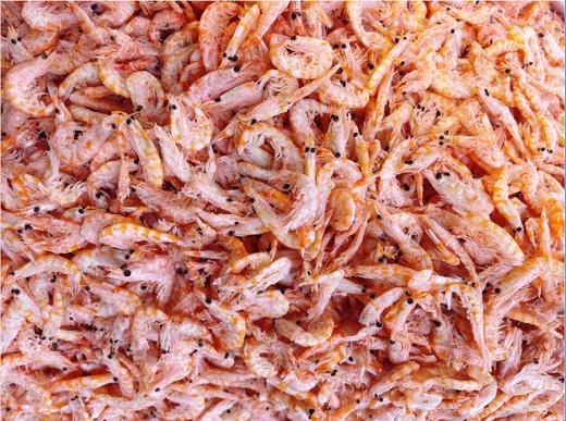 南极磷虾半斤 商品图1
