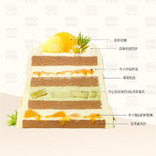 ⚜️杜乐丽笺 商品图1
