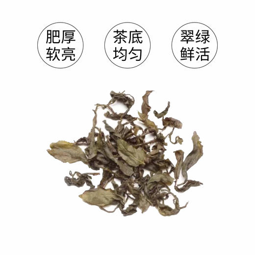 四季安尚乌龙150g 商品图6