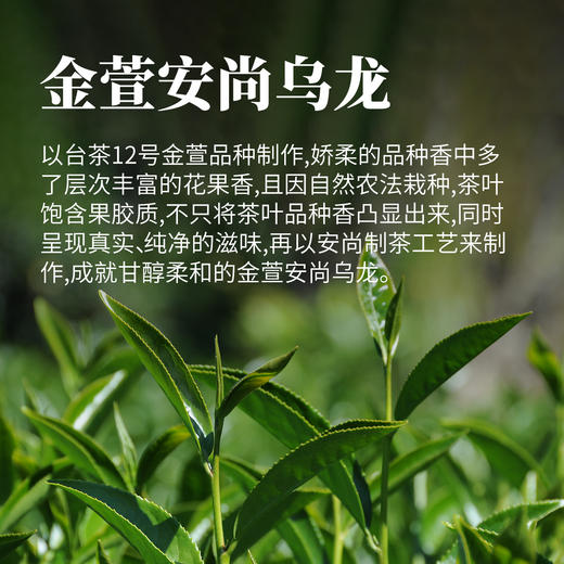 金萱安尚乌龙100g 商品图1